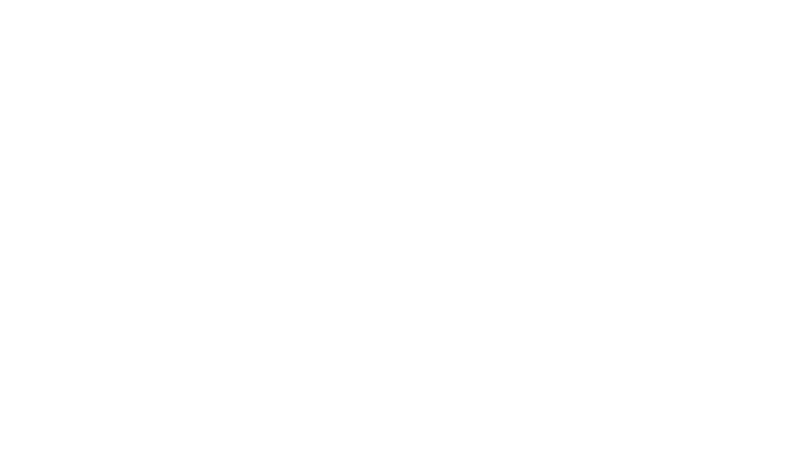 Saller Logo